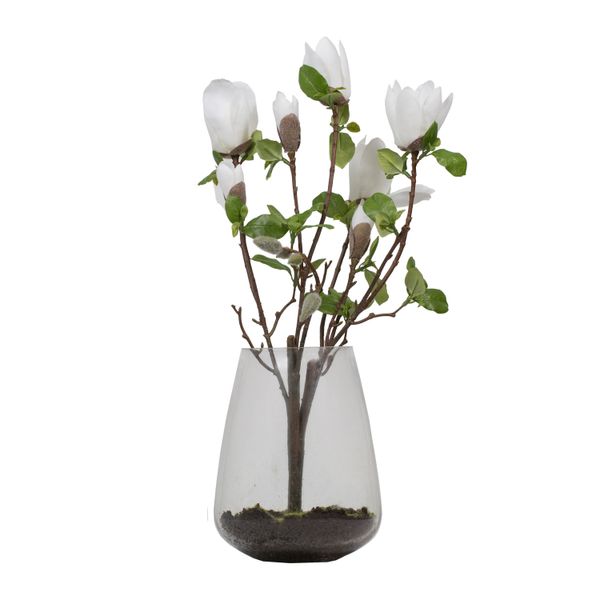 magnolias-en-florero-de-vidrio-50cm-103103610410-98cb48e8-9190-4586-9b9c-4d9b4acf0696